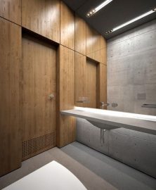 contemporary-toilet-facilities